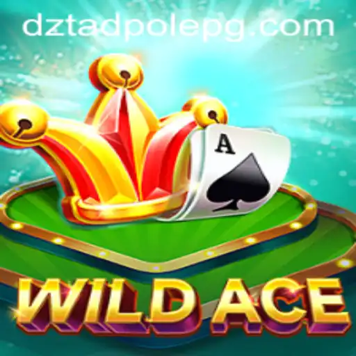 WildAce: Decifrando a Ação e Estratégia por Trás do Novo Jogo
